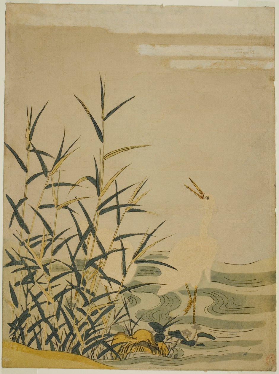 Reigers in het Riet door Isoda Koryusai