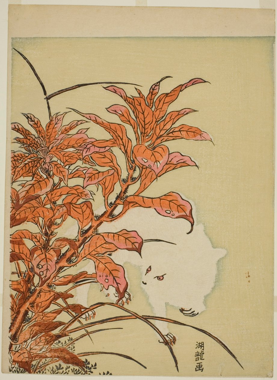 Witte Konijn en Amarant door Isoda Koryusai