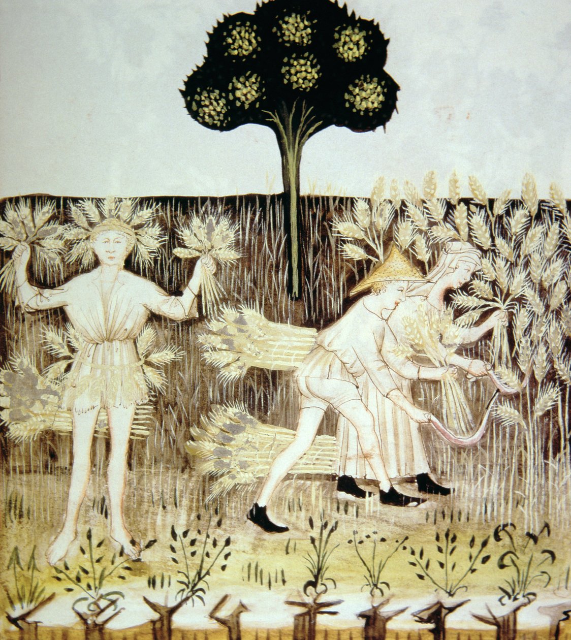 Zomer: Het oogsten van het graan, illustratie uit Tacuinum Sanitatis Codex Vindobonensis door Italian School