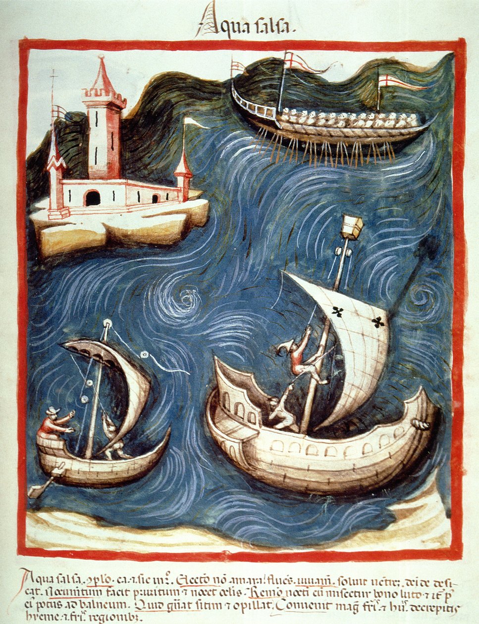 Boten op zee, illustratie uit Tacuinum Sanitatis Codex Vindobonensis door Italian School