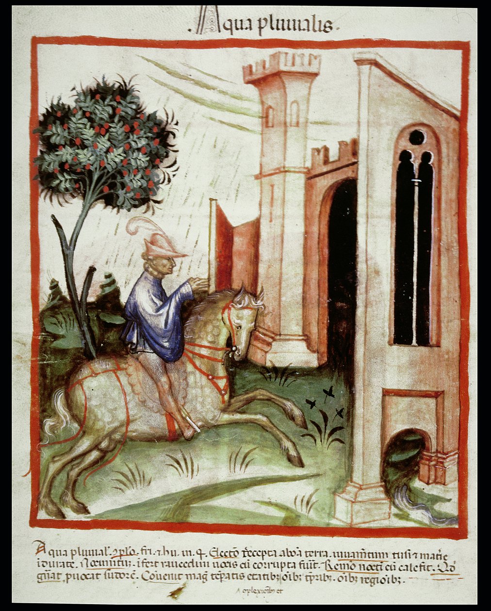 Nova 2644 fol.89v Regenwater, uit Tacuinum Sanitatis door Italian School