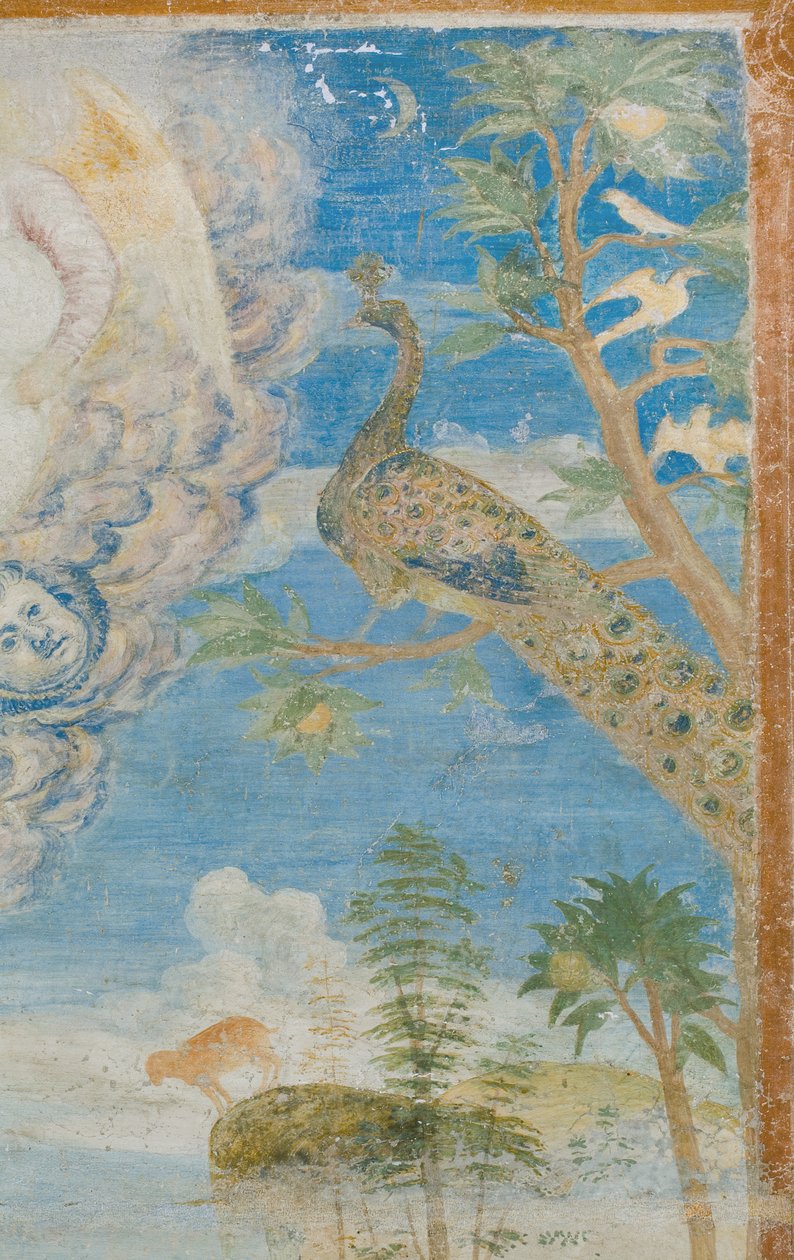 Pauw (detail) door Italian School