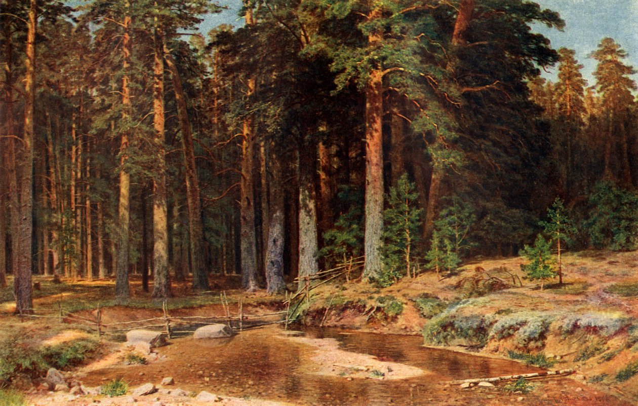 Een dennenbos door Ivan Ivanovich Shishkin