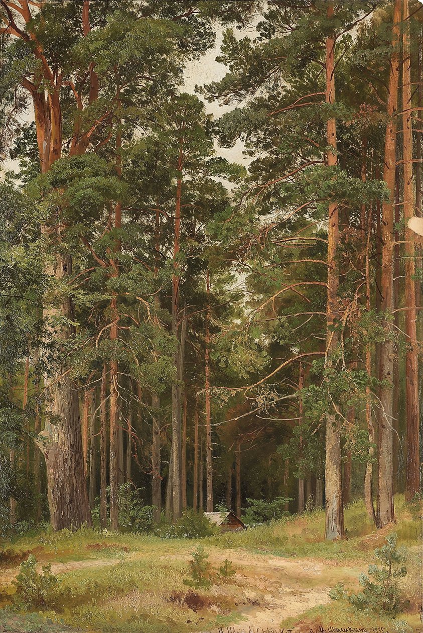 Een zomerdag, Merikiul, 1895 door Ivan Ivanovich Shishkin