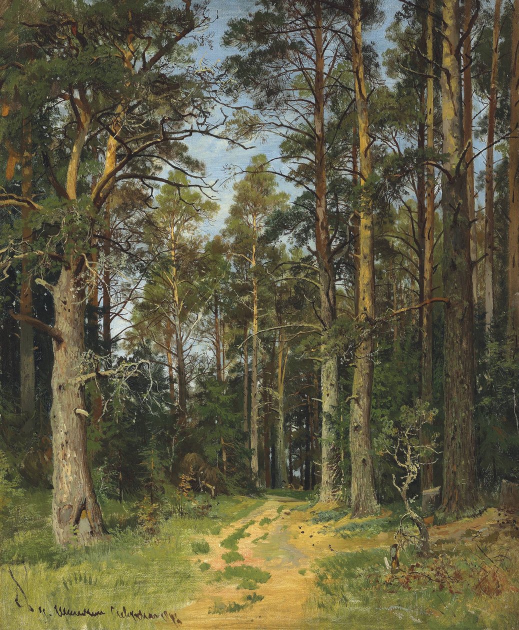 Siverskaya, 1896 door Ivan Ivanovich Shishkin