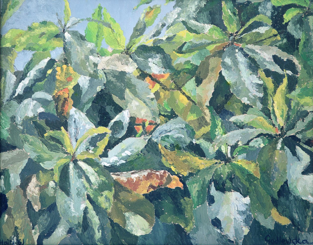 Planten, 1961 door Izabella Godlewska de Aranda