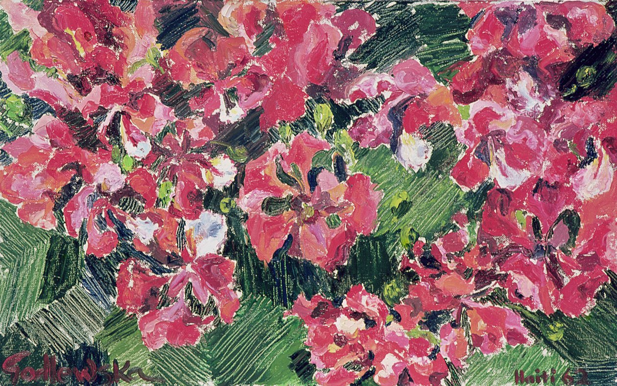 Rhododendron, 1962 door Izabella Godlewska de Aranda