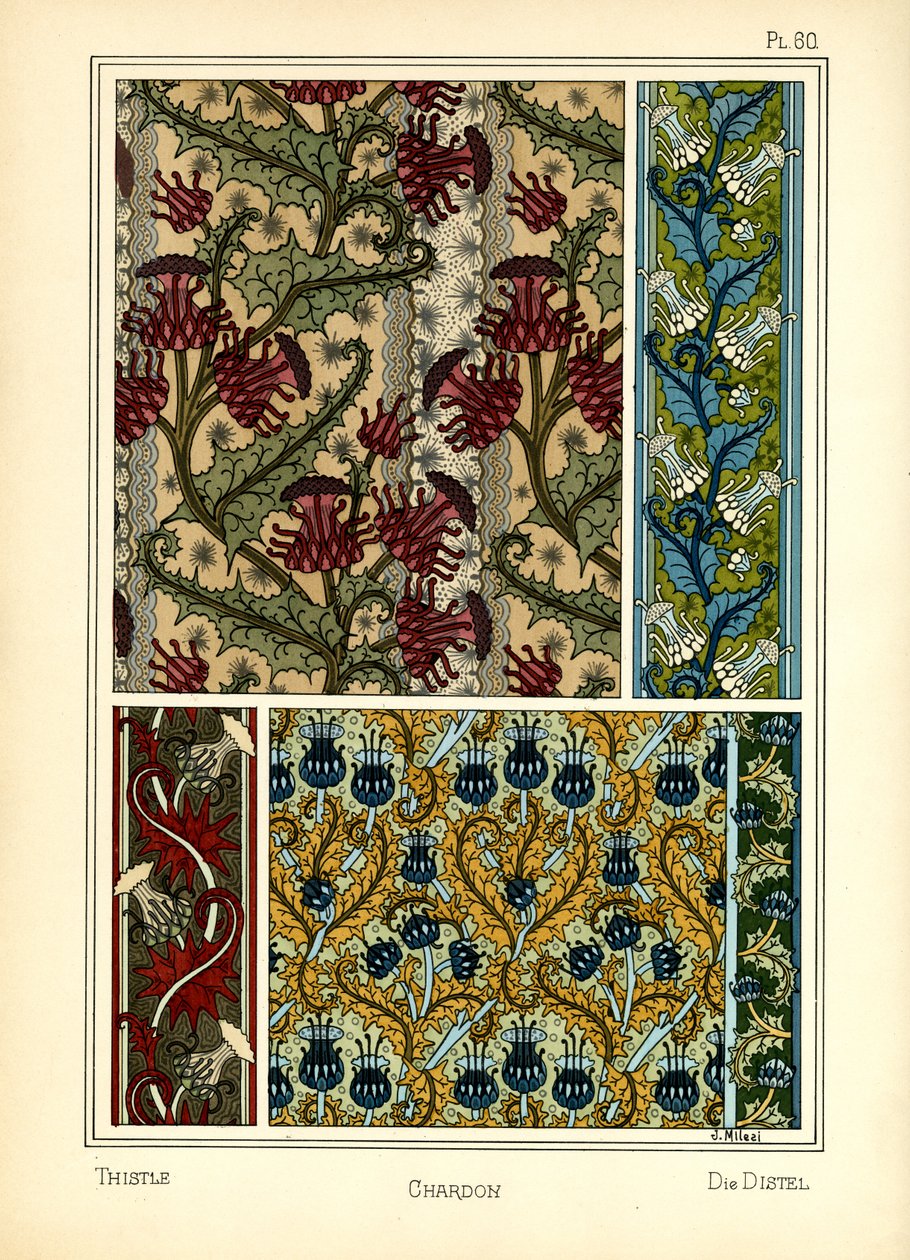 De Distel door J. Milesi