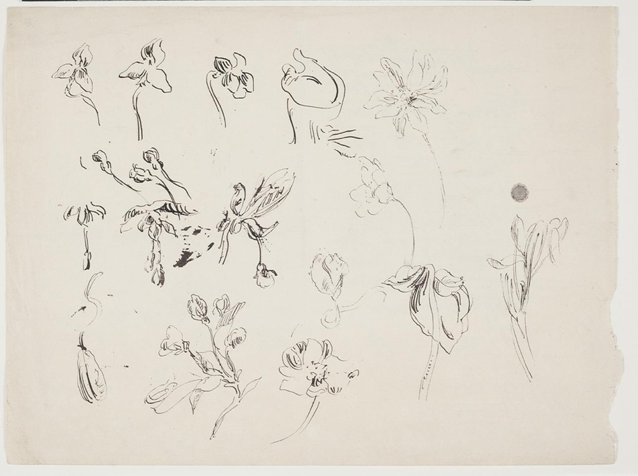 Bloemschetsen door J.A. Jerichau