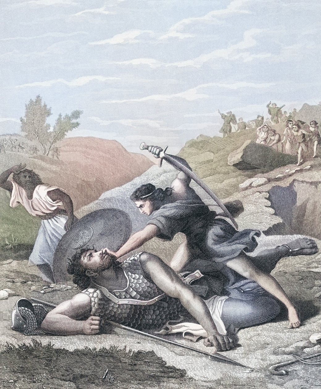 David en Goliath door J.F.C. (after) Reckleben