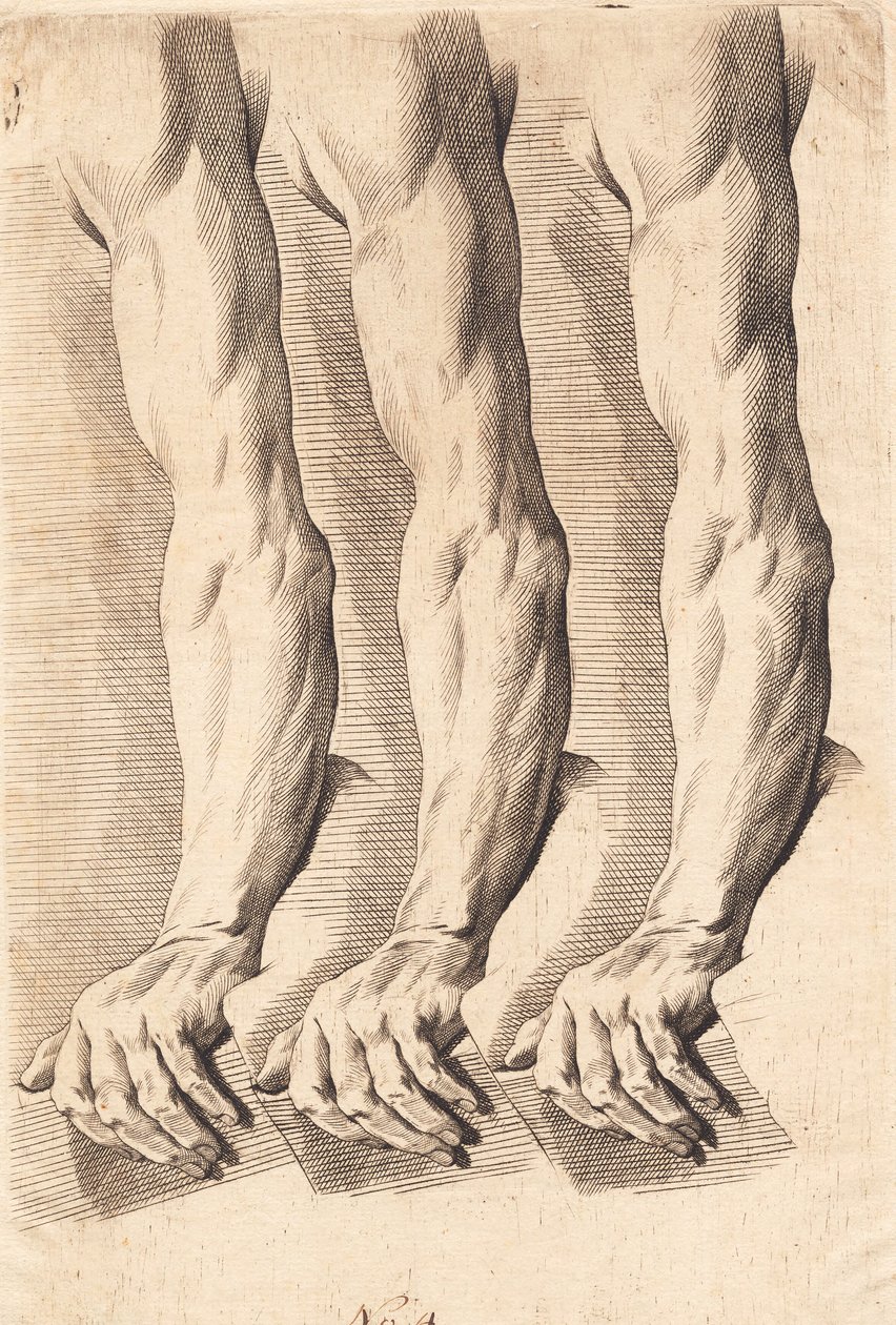 Studieblad van armen door J.F. Clemens