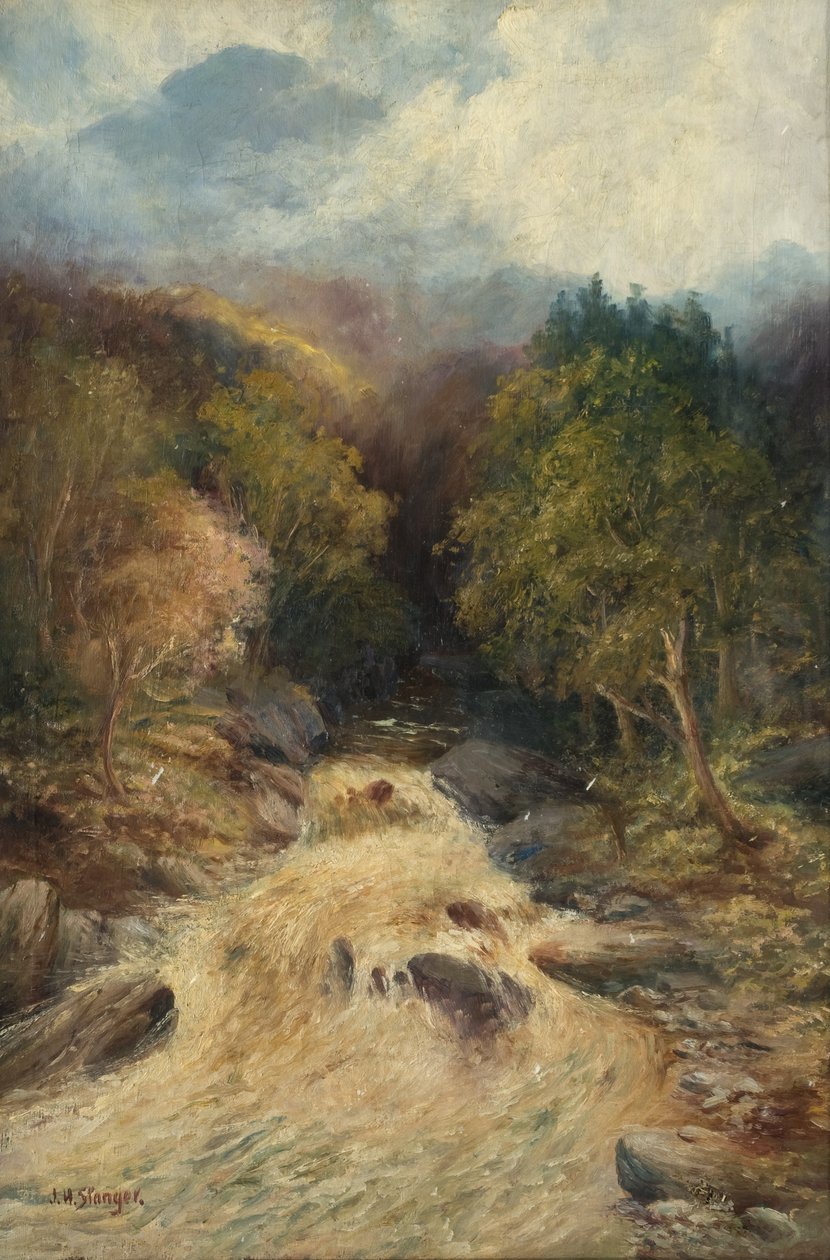 Een bergbos door J.H. Stanger