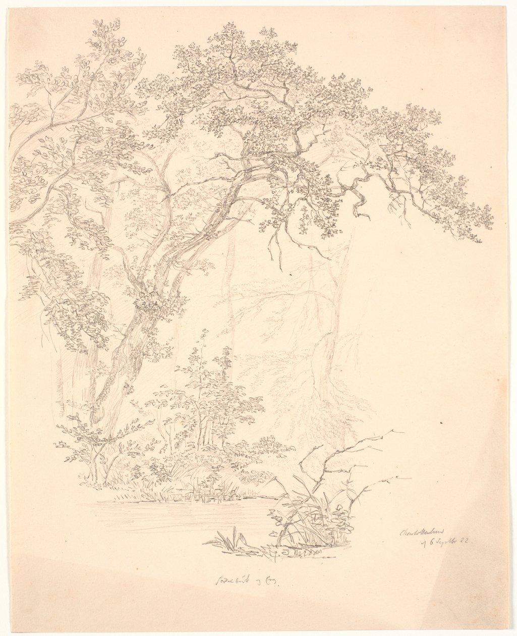 Bomen door J.P. Møller