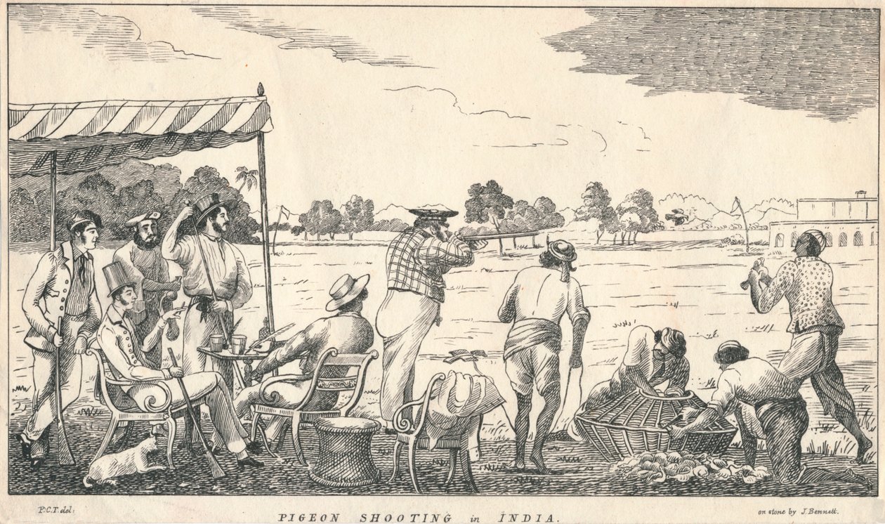 Duivenschieten in India door J Bennett