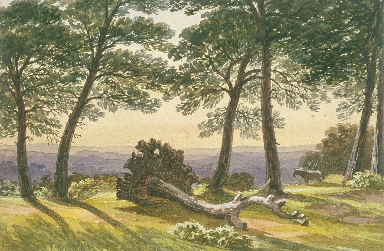 Hampstead Heath, Londen door J Powell