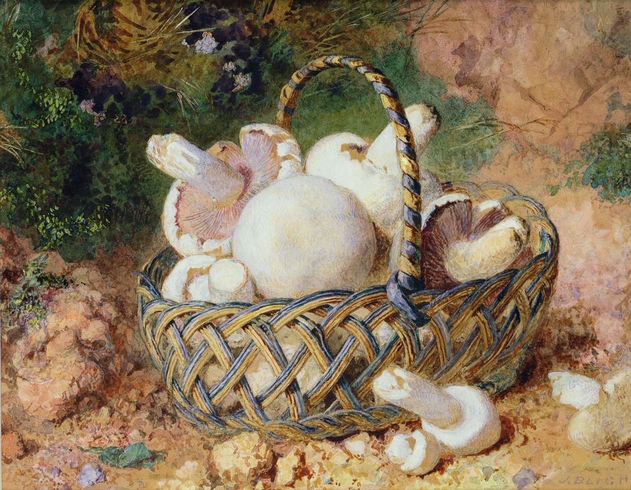 Een Mandje Paddenstoelen, 1871 door Jabez Bligh