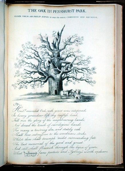 De eik in Penshurst Park door Jacob George Strutt