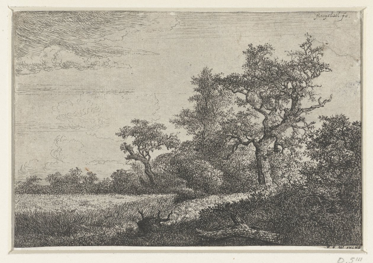 Het korenveld door Jacob van Ruisdael