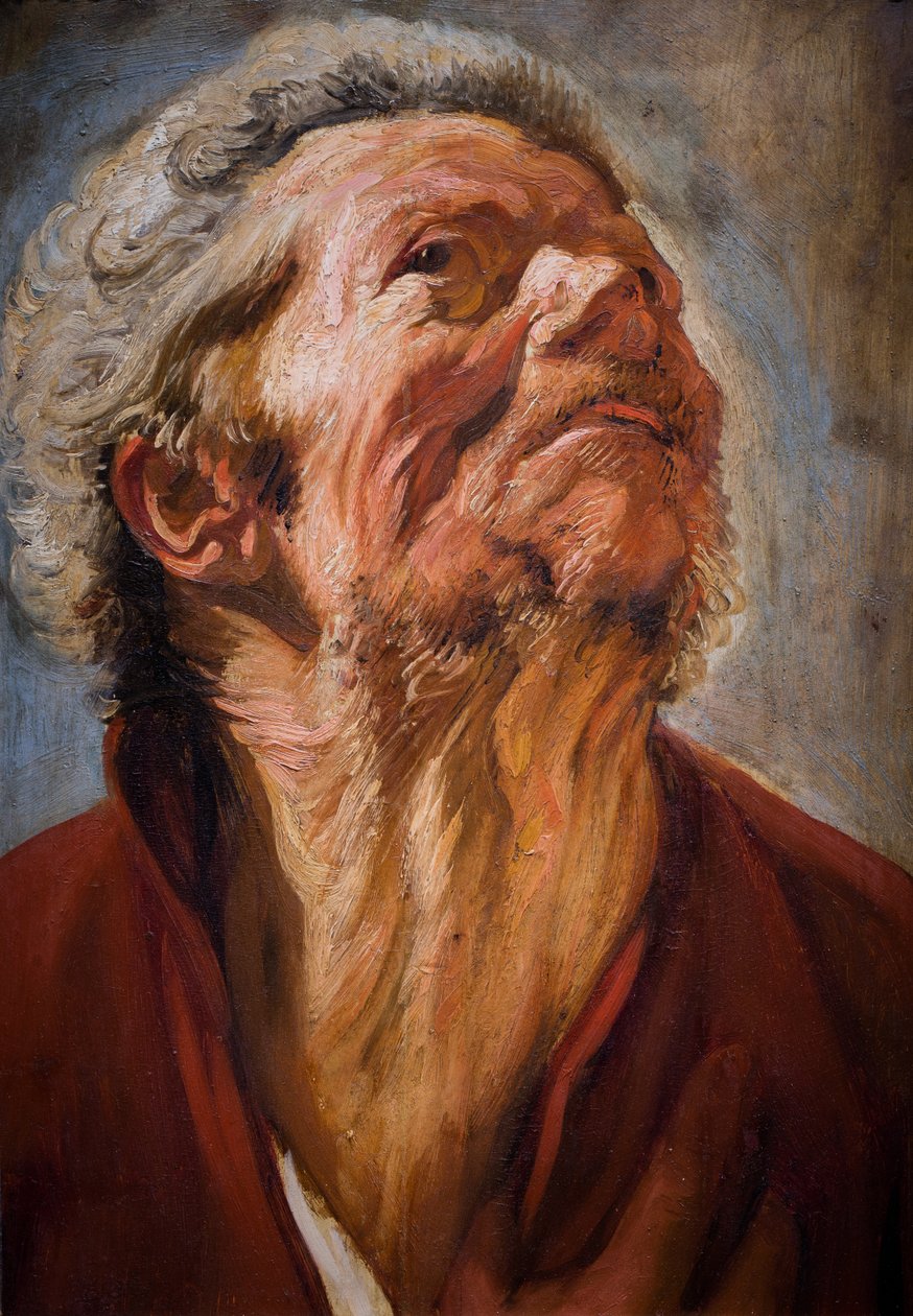 Hoofd van de studie door Jacob Jordaens