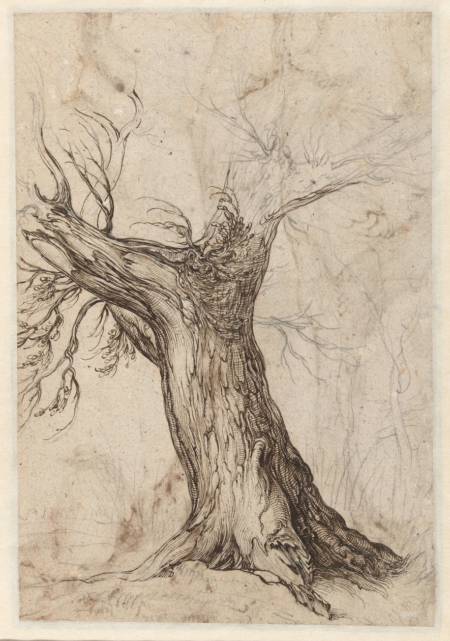 Kastanjeboom met enkele bomen eromheen door Jacob de Gheyn (II)