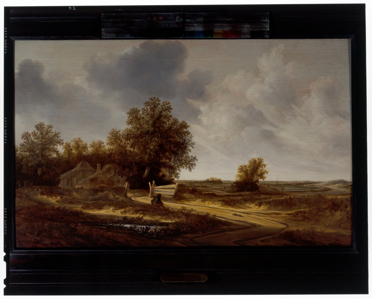 Aan de kant van de weg door Jacob van Mosscher