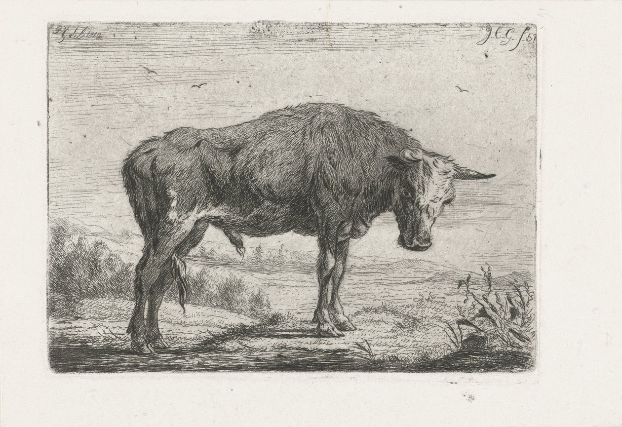 Staande stier door Jacobus Cornelis Gaal