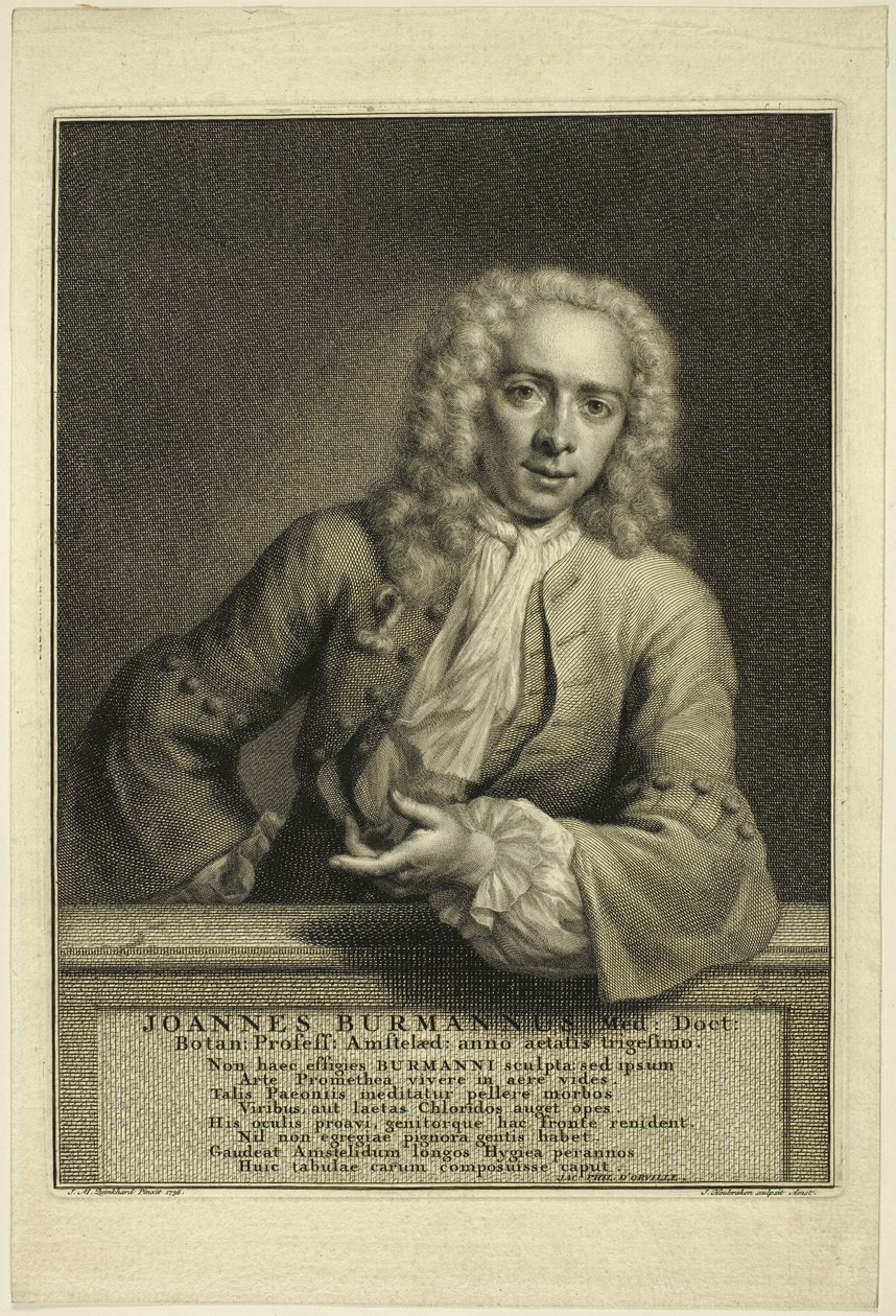 J. Burmannus door Jacobus Houbraken