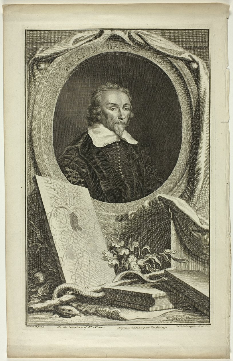 William Harvey, M.D. door Jacobus Houbraken