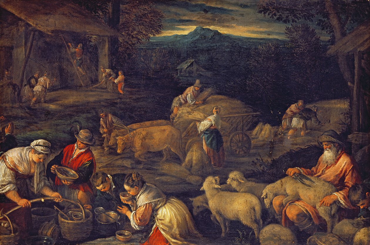 Boerderij interieur of schapen scheren door Jacopo Bassano