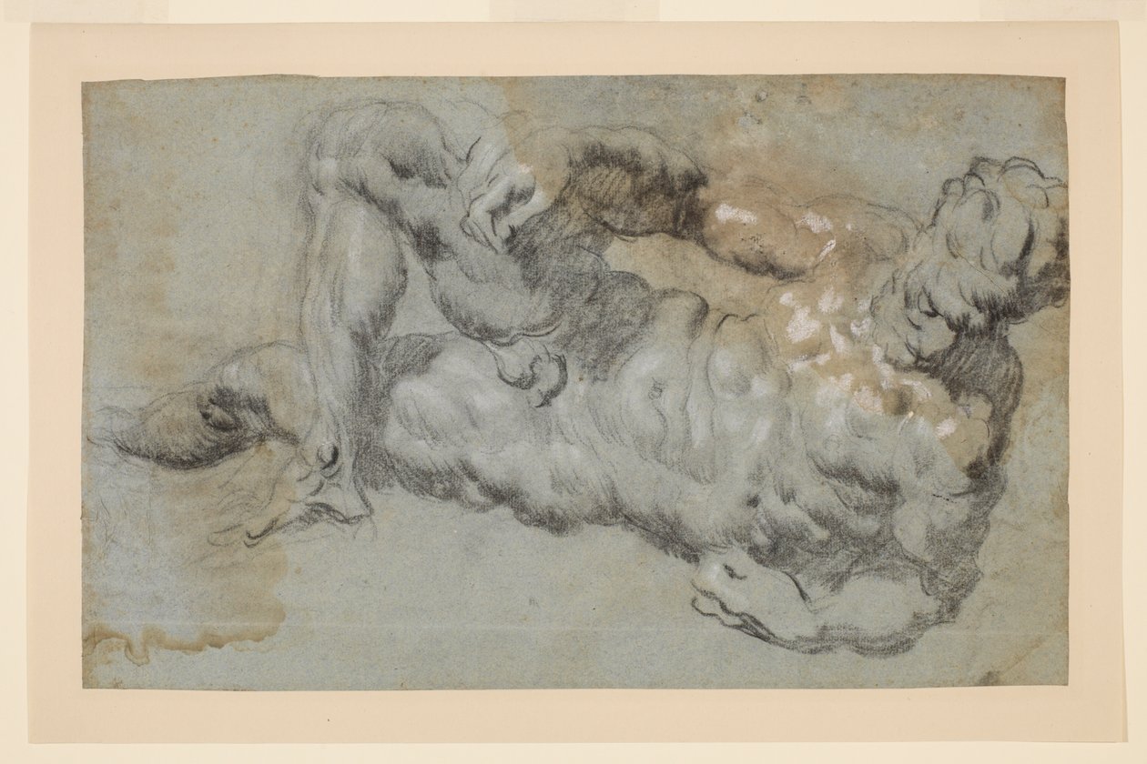 Studie naar Michelangelo