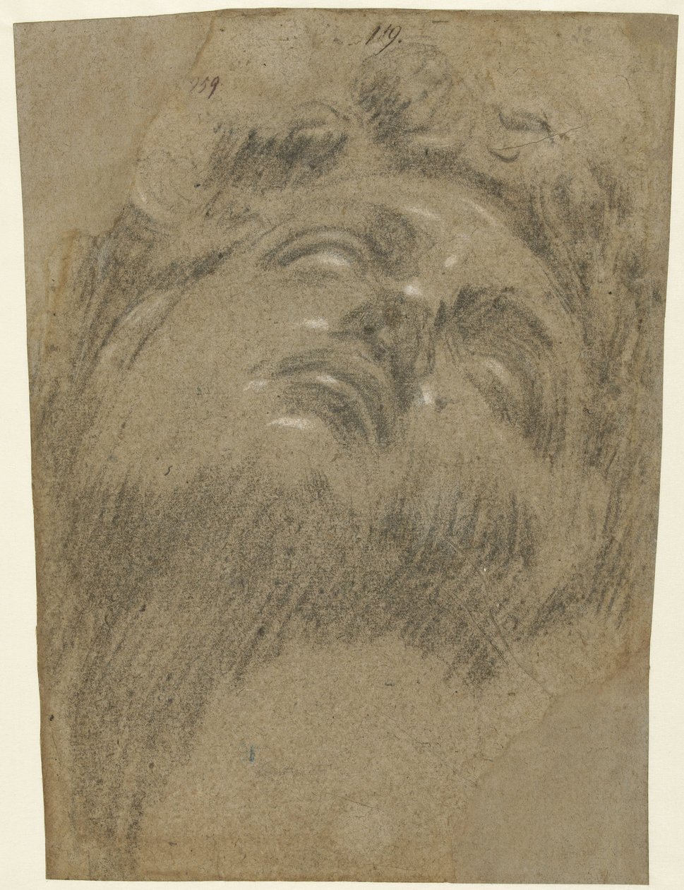 Hoofd van Giuliano dei Medici door Jacopo Tintoretto