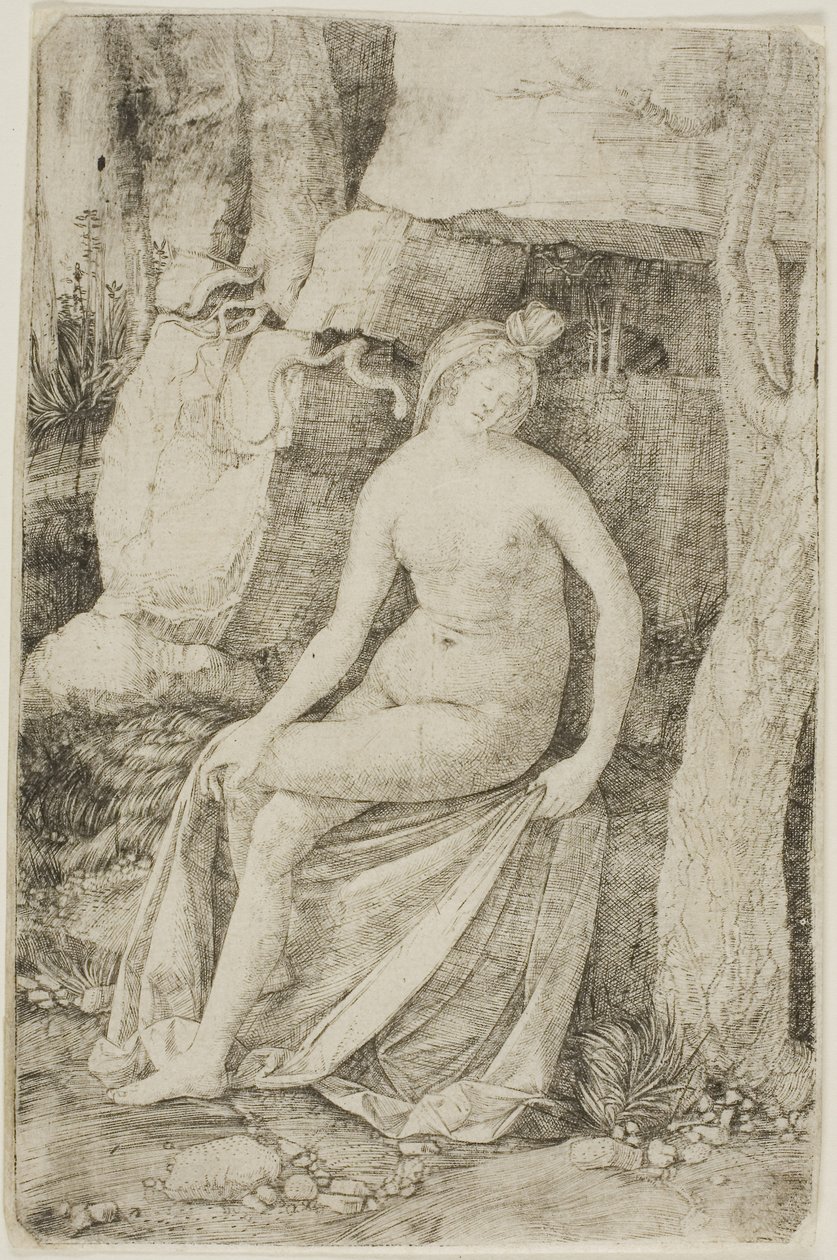 Cleopatra door Jacopo de