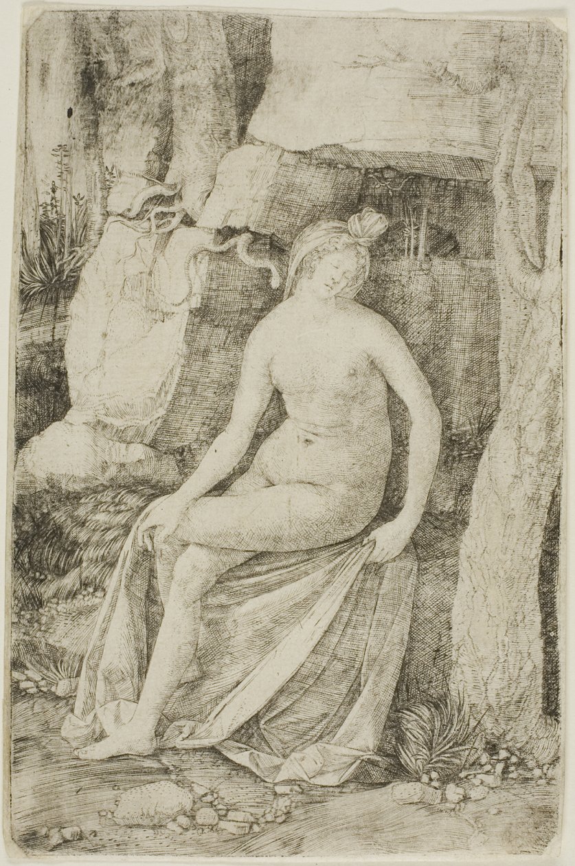 Cleopatra door Jacopo de