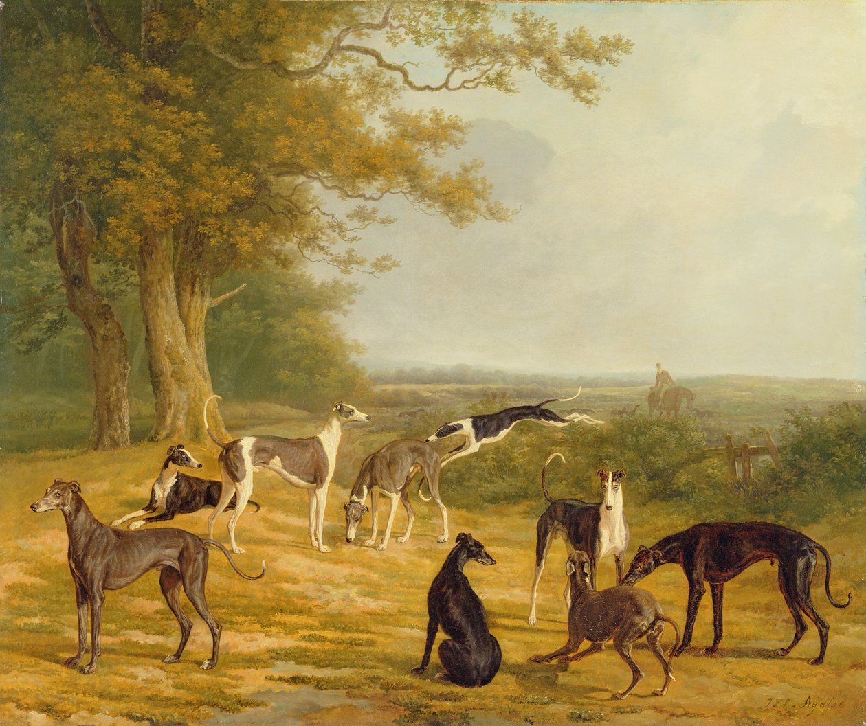 Negen windhonden in een landschap door Jacques Laurent Agasse