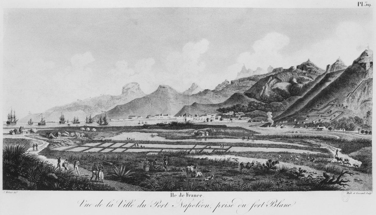 Eiland van Frankrijk (Mauritius), uitzicht op Port-Napoleon door Jacques Milbert
