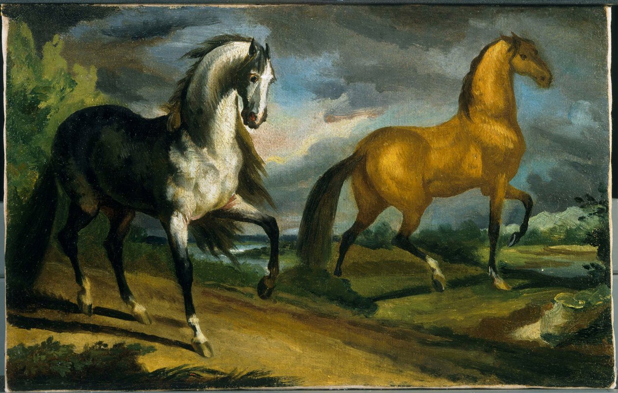 Twee paarden door Jacques Louis David