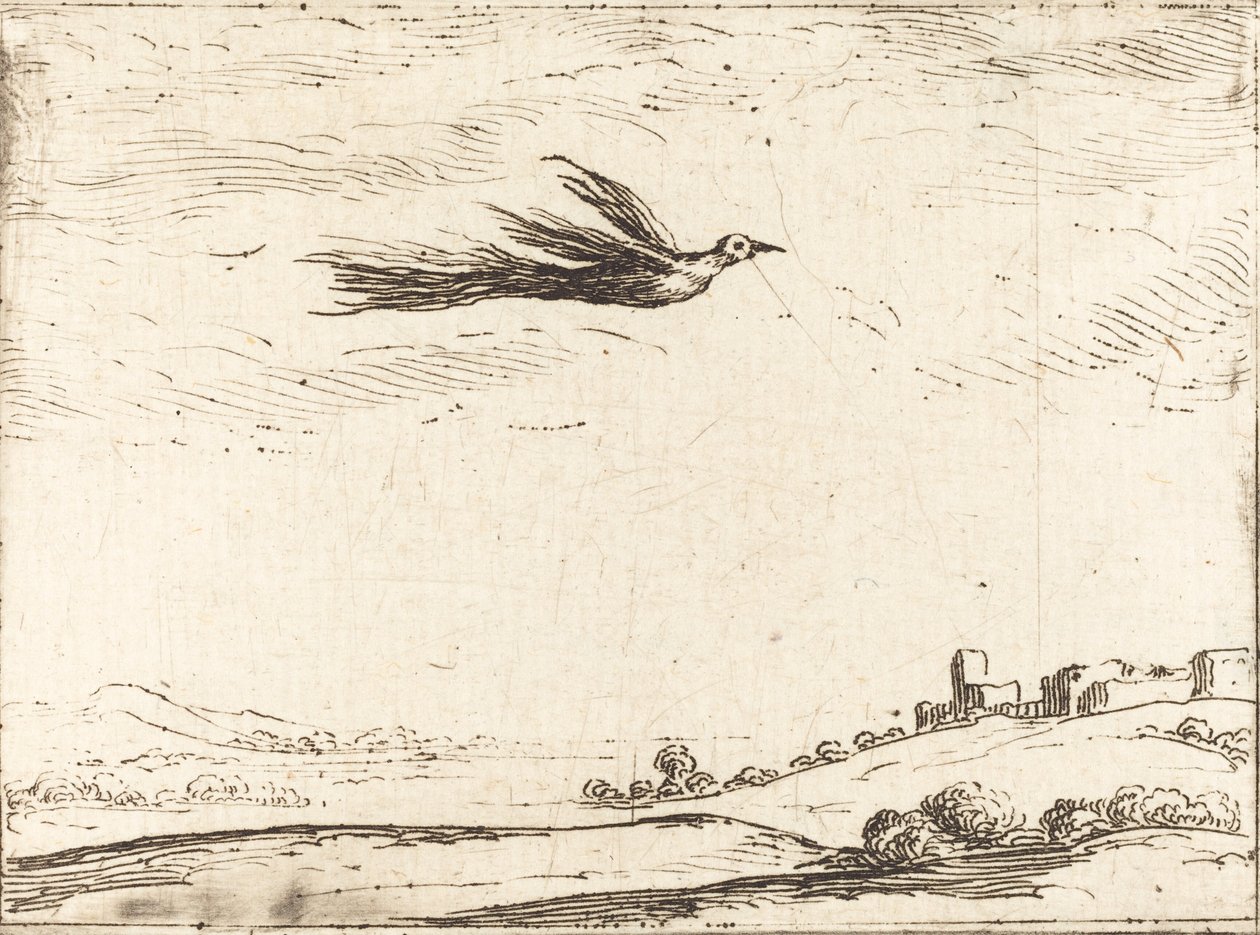 Paradijsvogel door Jacques Callot