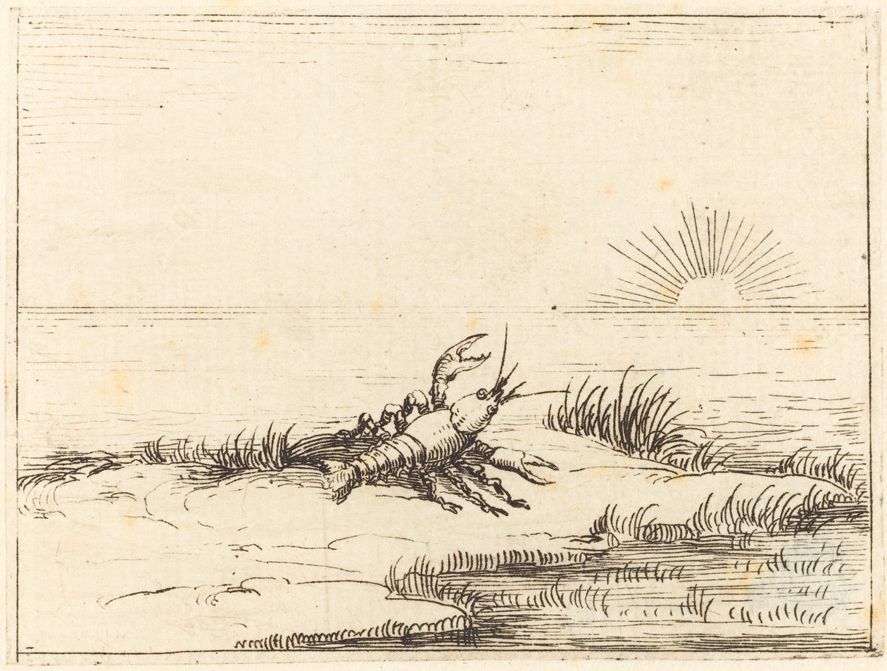 Rivierkreeft Kijkt naar de Zon door Jacques Callot