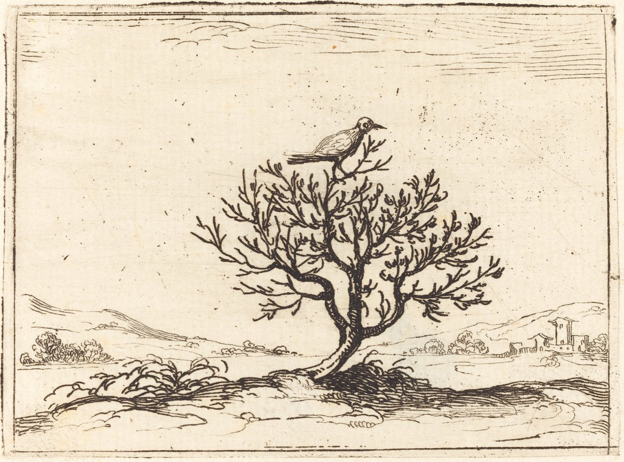 Nachtegaal in een struik door Jacques Callot