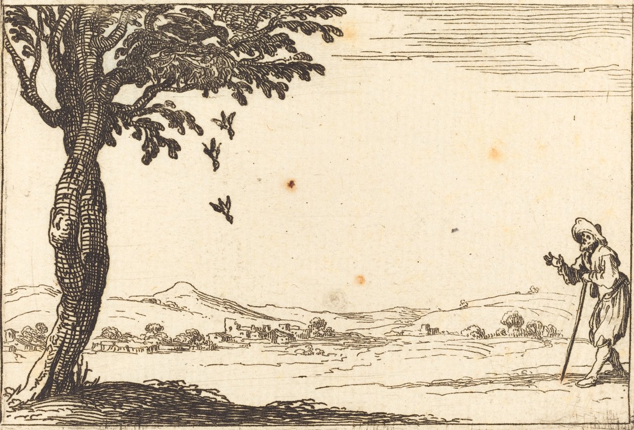 De Kraai en haar Jongeren door Jacques Callot