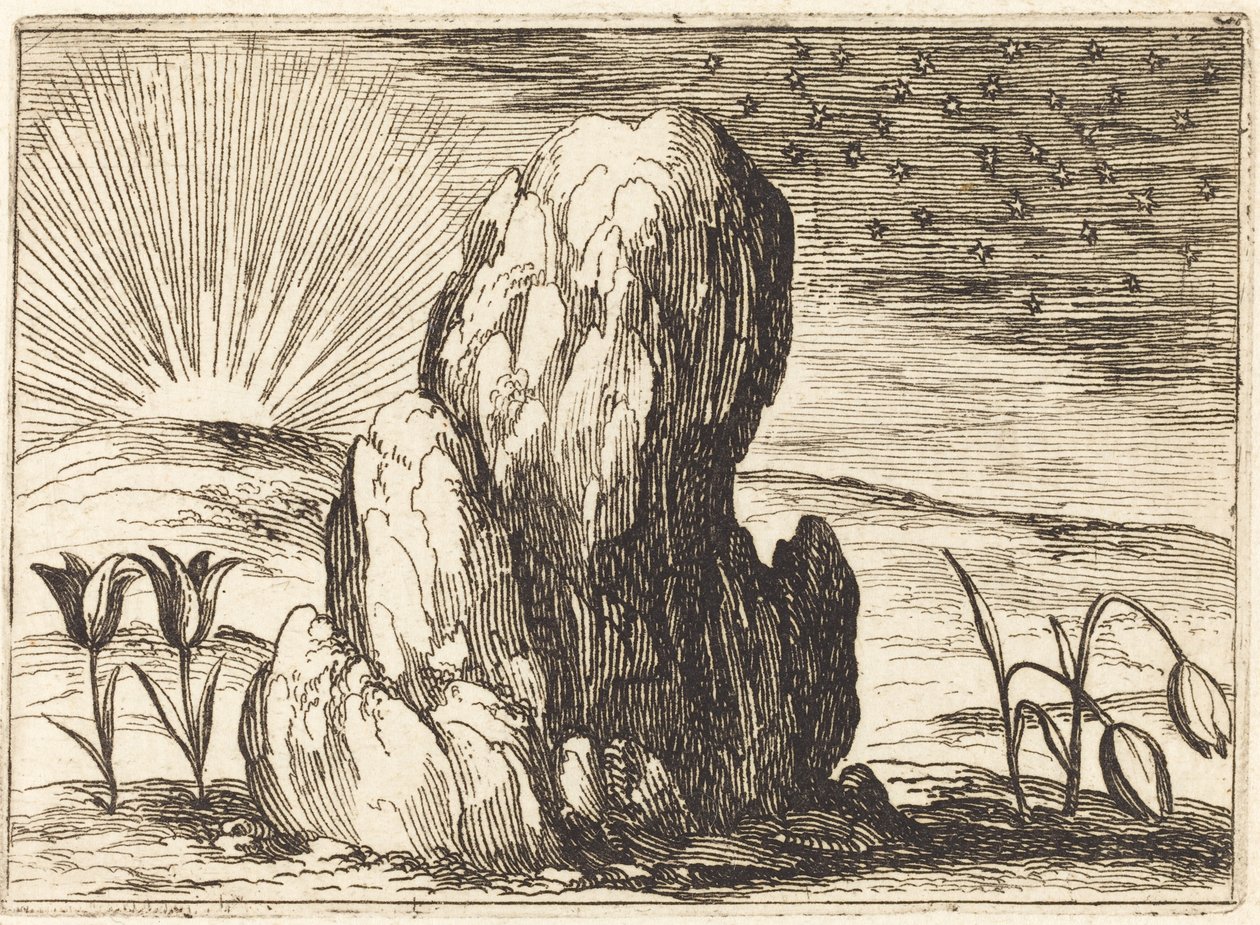 De tulpen en de zon door Jacques Callot