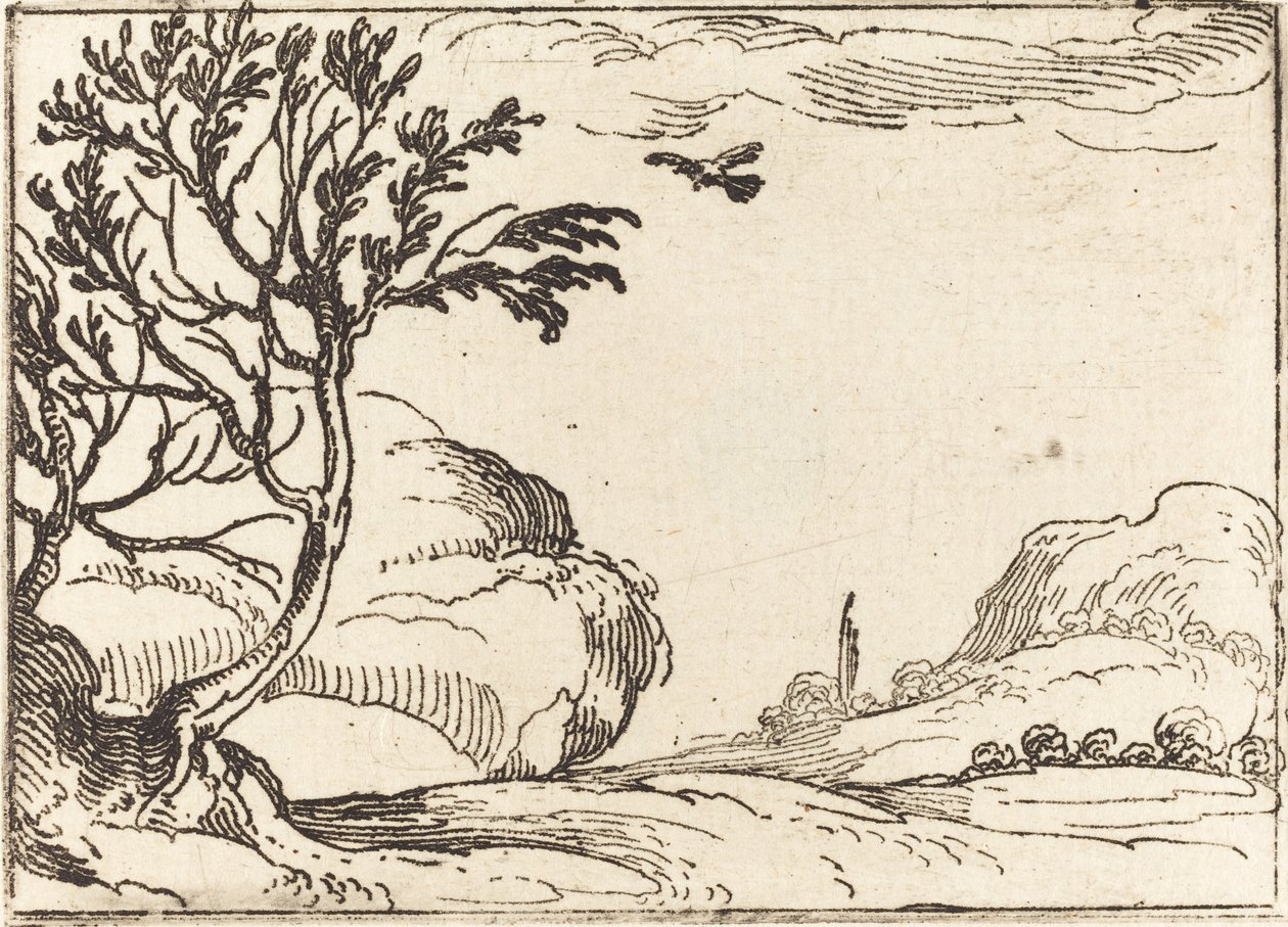 Tortelduif vliegend in de woestijn door Jacques Callot