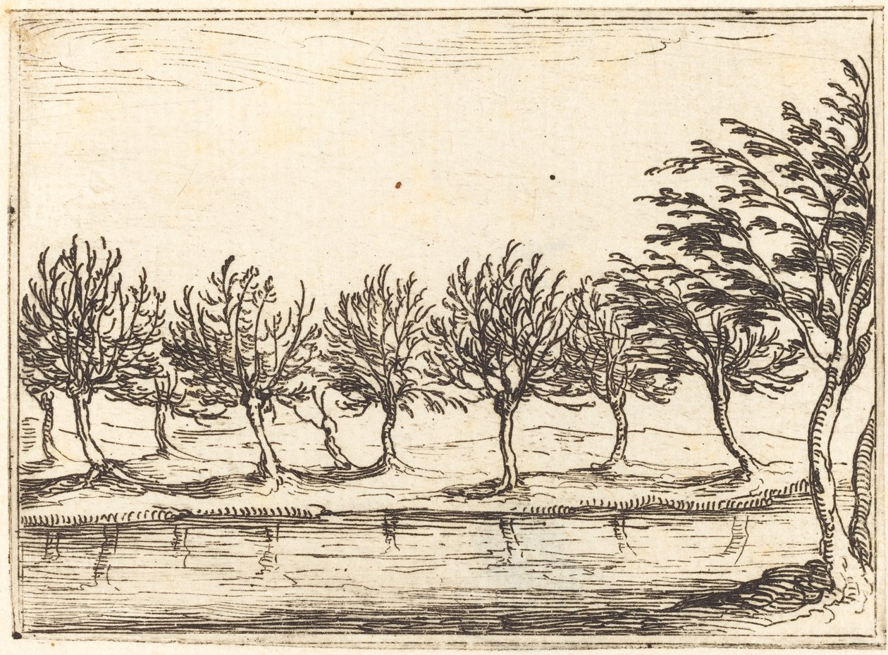 Wilgen aan de Waterkant door Jacques Callot