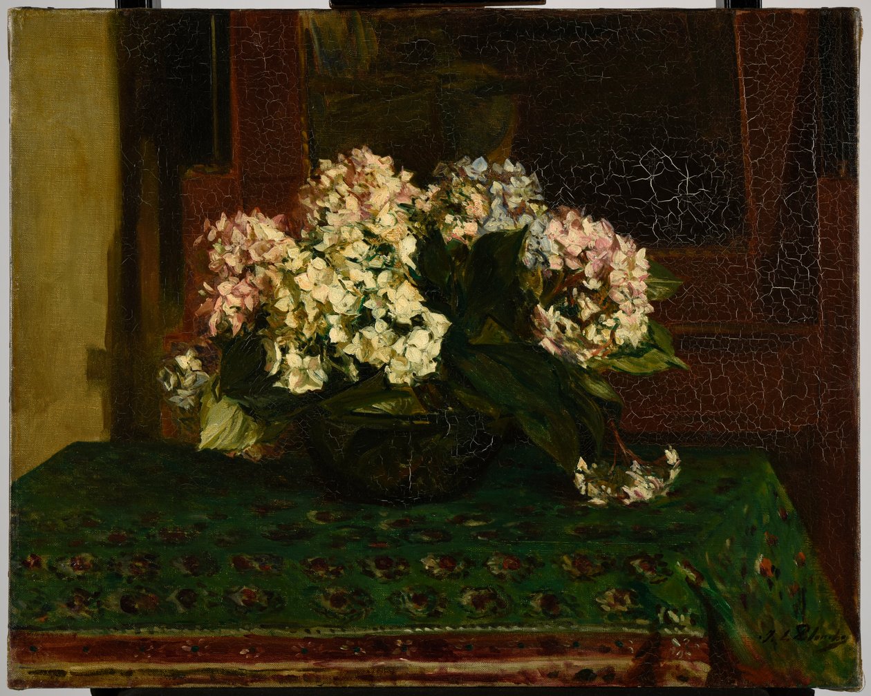 Hortensia