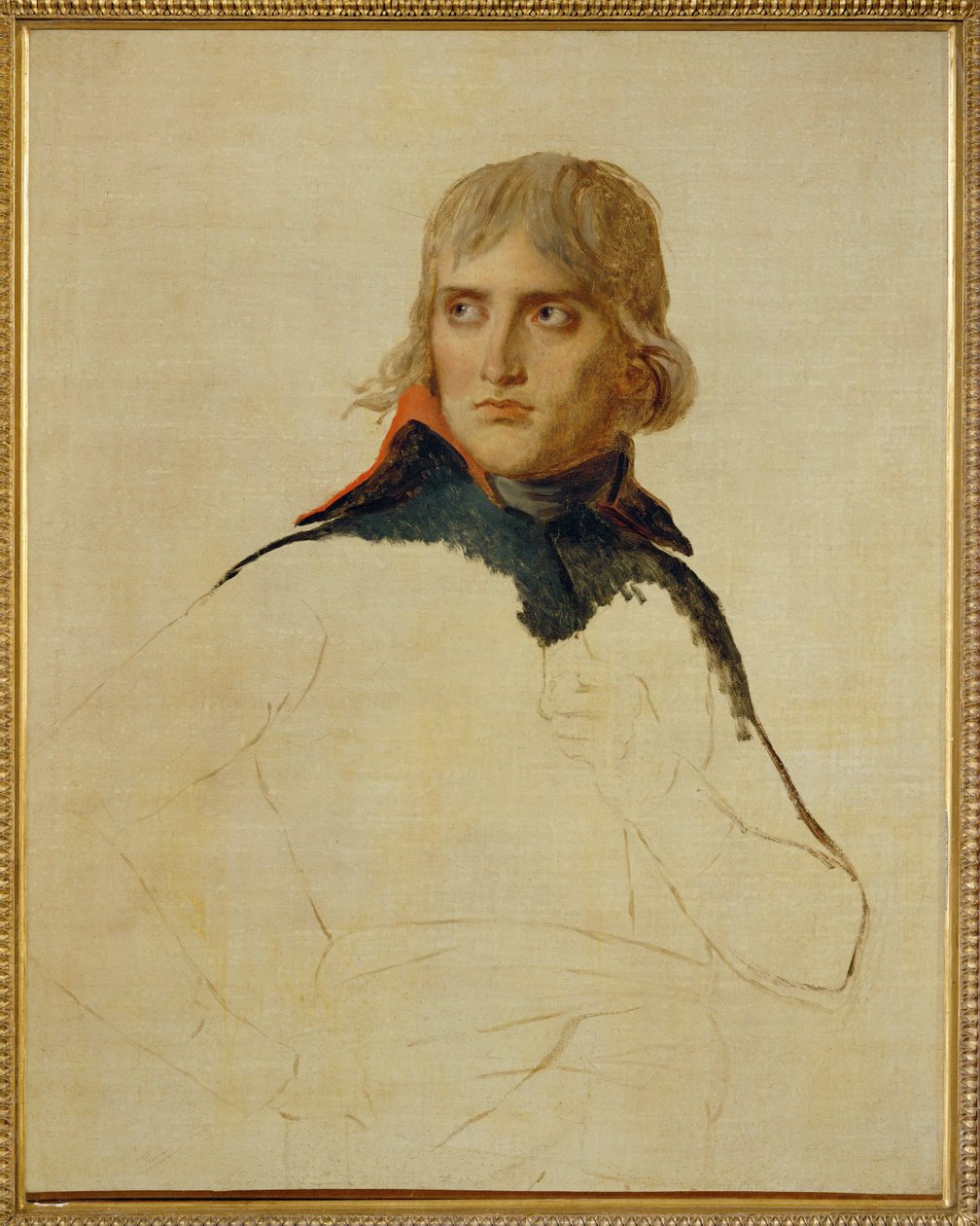 Napoleon Bonaparte ... door Jacques Louis David