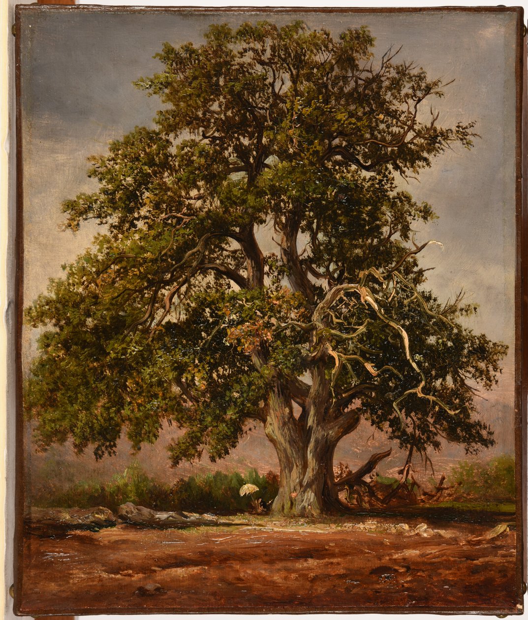 Le Vieux chêne door Jacques Raymond Brascassat
