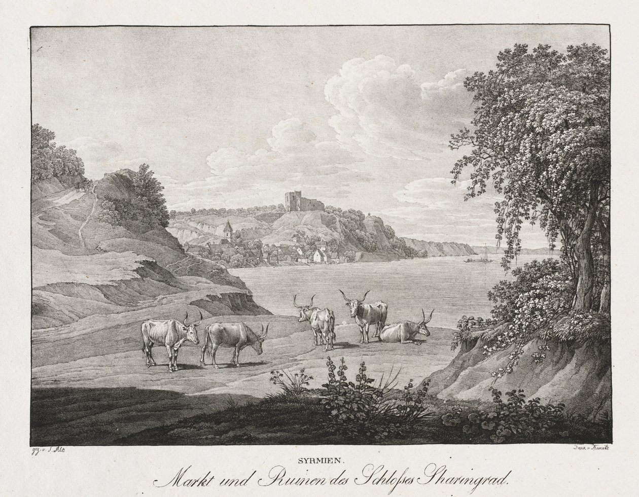 Syrmië, Markt en Ruïnes van het Kasteel Sharengrad door Jakob Alt