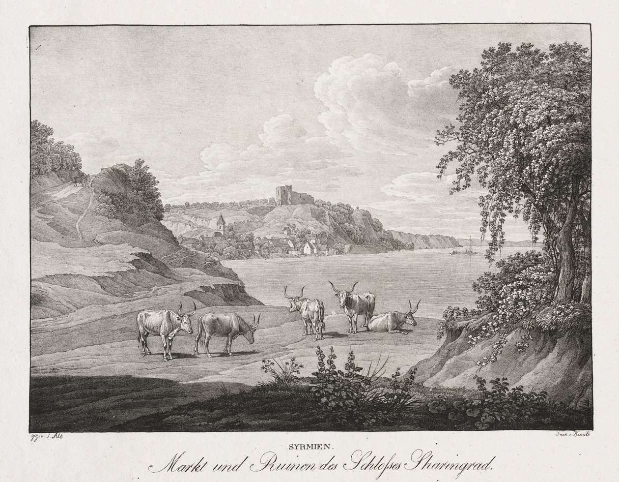 Syrmien, markt en ruïnes van het kasteel Sharengrad door Jakob Alt