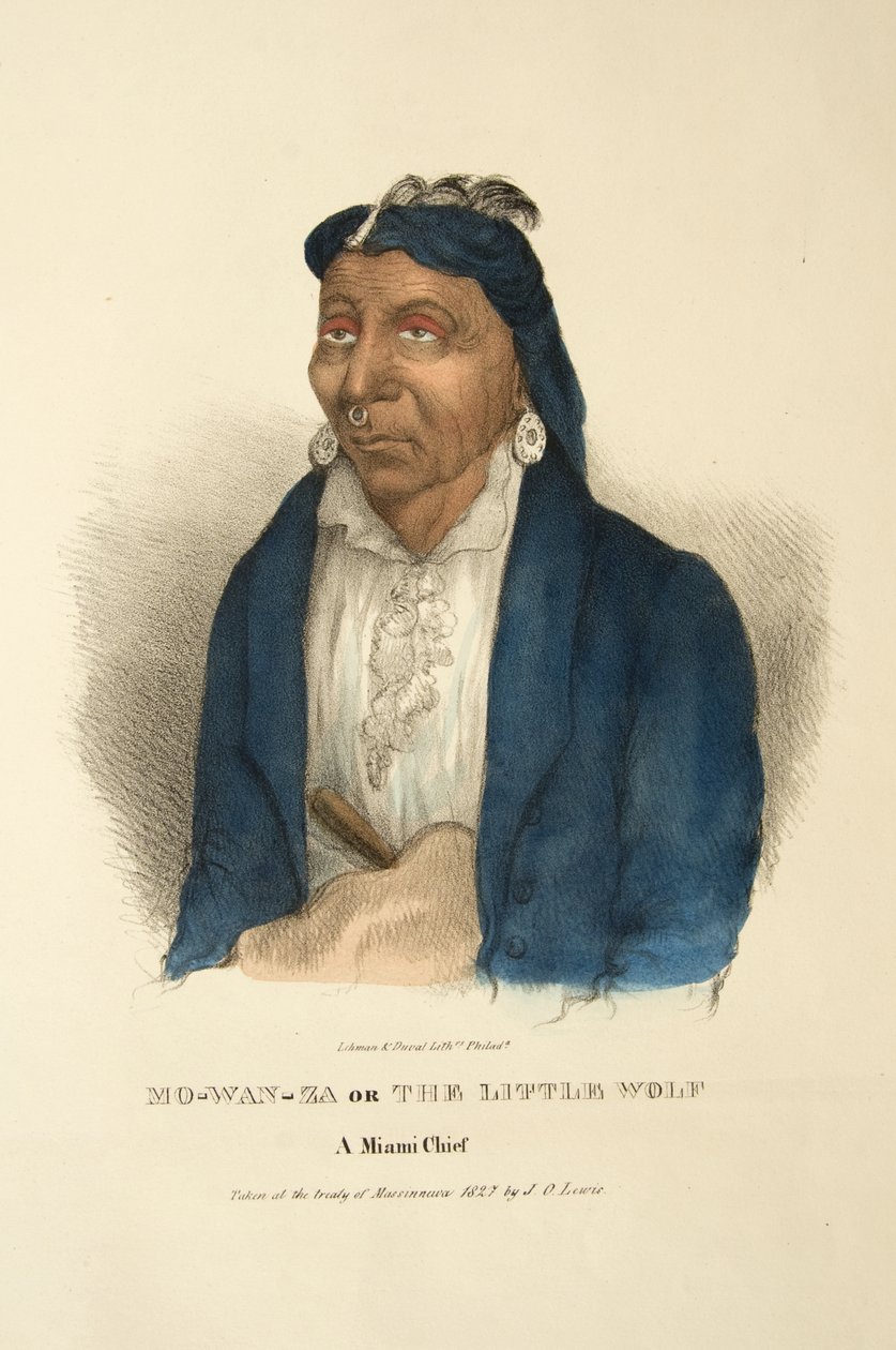 Mo-wan-za of De Kleine Wolf door James Otto Lewis