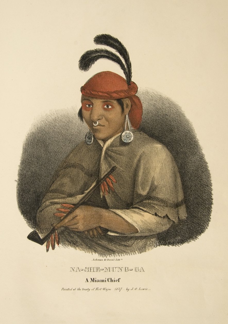 Na-she-mung-ga door James Otto Lewis